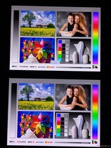 Ampi angoli di visione OLED per entrambi i touchscreen