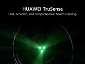 Huawei utilizzerà il Watch GT 5 per presentare il suo nuovo sensore TruSense. (Fonte: Currys)