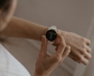 La schermata del grafico dell'app Garmin mostra anche le tendenze della frequenza cardiaca, dello stato HRV e dei livelli di batteria del corpo nel corso delle settimane. Nella foto: uno smartwatch Garmin. (Fonte immagine: Káplár Bálint Áron su Unsplash)