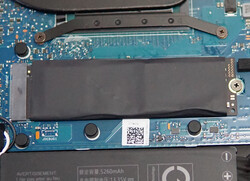 SSD PCIe 4.0 di Samsung