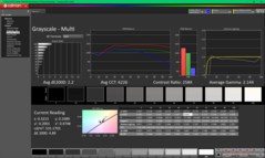 Scala di grigi prima della calibrazione (P3)
