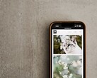 Smartphone su una superficie grigia con una galleria di foto di gatti e fiori sullo schermo
