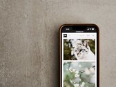 Smartphone su una superficie grigia con una galleria di foto di gatti e fiori sullo schermo