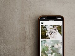 Smartphone su una superficie grigia con una galleria di foto di gatti e fiori sullo schermo
