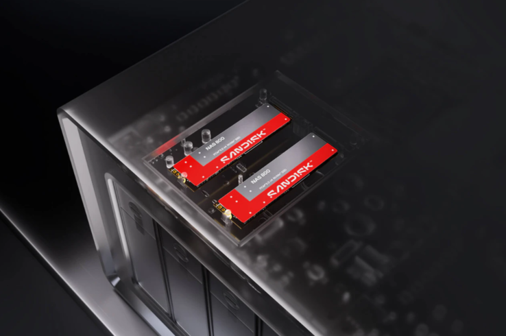 Due SSD Sandisk NAS 800 installati all'interno di un enclosure NAS