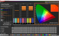 CalMAN ColorChecker (calibrato)