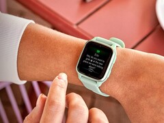 Il Garmin Venu 2 Sq ha ricevuto l'aggiornamento beta 2.51. (Fonte: Garmin)