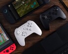 8BitDo consiglia agli utenti di aggiornare il firmware del controller compatibile prima di collegarlo a Nintendo Switch 2. (Fonte: 8BitDo)