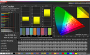 CalMAN precisione del colore Standard (DCI-P3)