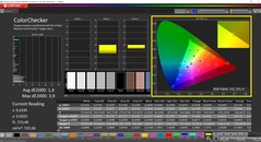 CalMAN ColorChecker (profilo: sRGB, spazio colore di destinazione: sRGB)