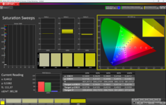 Saturazione CalMAN calibrata