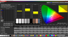 CalMan: ColorChecker prima della calibrazione (gamma di colore target AdobeRGB)