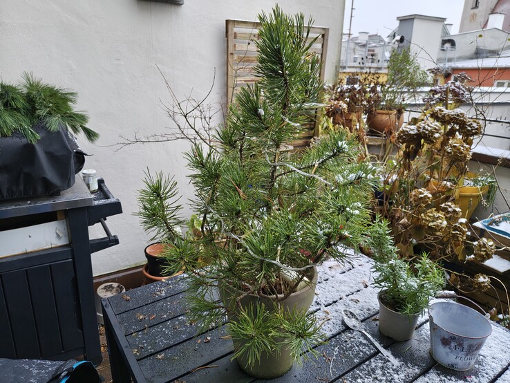 Foto con la fotocamera principale