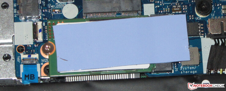 Un SSD NVMe funge da drive di sistema
