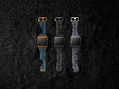 Fitbit ha rilasciato lo Ionic nell'agosto 2017. (Fonte immagine: Fitbit)