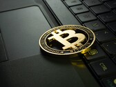 Due piattaforme di prestito di criptovalute hanno ricevuto l'ordine di fermare il trading a New York (Fonte: Jievani Weerasinghe on Unsplash)
