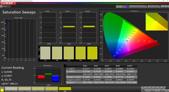 CalMAN Saturation Sweeps calibrato (Spazio colore target P3)