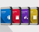 Opzioni di archiviazione HDD di Western Digital. (Fonte: Western Digital)