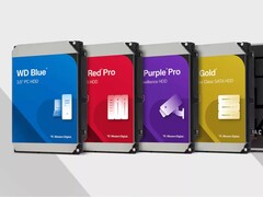 Opzioni di archiviazione HDD di Western Digital. (Fonte: Western Digital)
