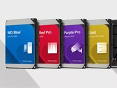 Opzioni di archiviazione HDD di Western Digital. (Fonte: Western Digital)