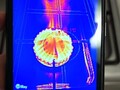 Doogee S98 Pro: fotocamera termica in azione (Fonte: Own)