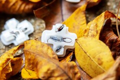 Deck Buttons offre sei diversi D-pad trasparenti con insetti all'interno. (Immagine: Deck Buttons)