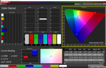 CalMAN gamma Colore (spazio colore target sRGB)