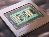 Infinity Cache può essere presente su Navi 23, ma non su Van Gogh. (Fonte immagine: AMD)