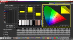 CalMAN ColorChecker (Profilo: Nativo, spazio colore di destinazione P3)