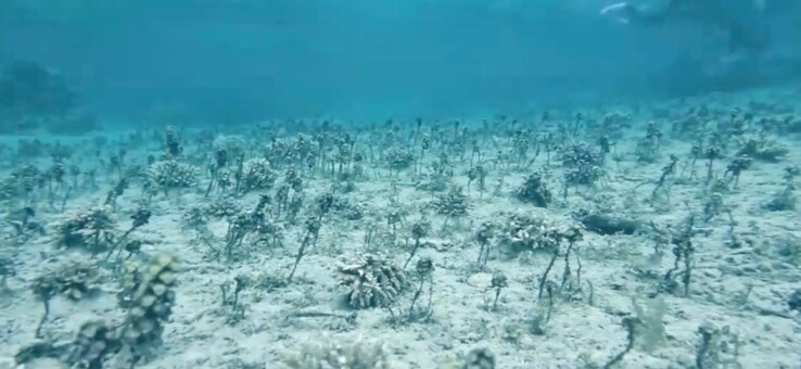 Senza modalità Oceano