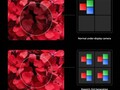 L'ultima tecnologia UDC (Under Display Camera) dovrebbe arrivare nella seconda metà del 2021. (Immagine: Xiaomi)