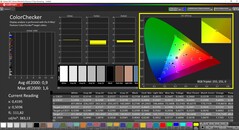 CalMAN ColorChecker calibrato