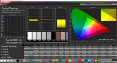 CalMAN ColorChecker (calibrato)