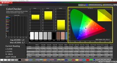 CalMAN ColorChecker calibrato