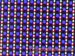 Subpixel OLED nitidi