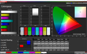 Spazio Colore CalMan (profilo: Auto, color space target: sRGB)