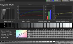 Scala di grigi CalMAN