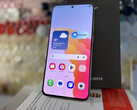 Il Samsung Galaxy S25 FE da 6,7 pollici con 128 GB è attualmente disponibile a circa 600 dollari. (Fonte: Notebookcheck)