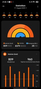 Xiaomi Smart Band 10 Attività