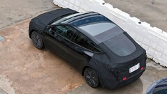 La Model Y di Tesla, più piccola e più economica, tarderà a essere lanciata sul mercato statunitense. (Fonte: Joe Tegtmeyer/X)