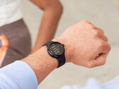 Il Pixel Watch 2 LTE è l'unica SKU di Pixel Watch a ricevere l'aggiornamento di questo mese. (Fonte: Google)