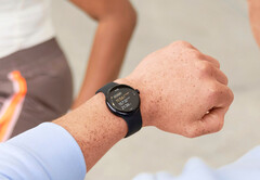 Il Pixel Watch 2 LTE è l'unica SKU di Pixel Watch a ricevere l'aggiornamento di questo mese. (Fonte: Google)