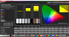 CalMAN ColorChecker (gamma colore sRGB)