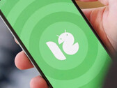 Xiaomi dovrebbe portare Android 12 su numerosi dispositivi, ma non sulla serie Redmi K20 o Mi 9. (Fonte: Xiaomiadictos)