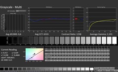 CalMAN: scala di grigi (calibrata)