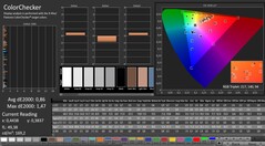 CalMAN: ColorChecker (calibrato)