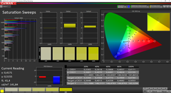 CalMAN Saturazione calibrato