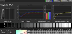 Scala di grigi CalMAN