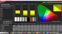 CalMAN ColorChecker calibrato