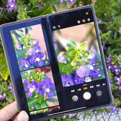 Tutte le opzioni di colore del Magic V5, tranne una, misurano 9 mm di spessore quando sono chiuse e pesano ufficialmente 222 g. (Fonte: Fenibook)